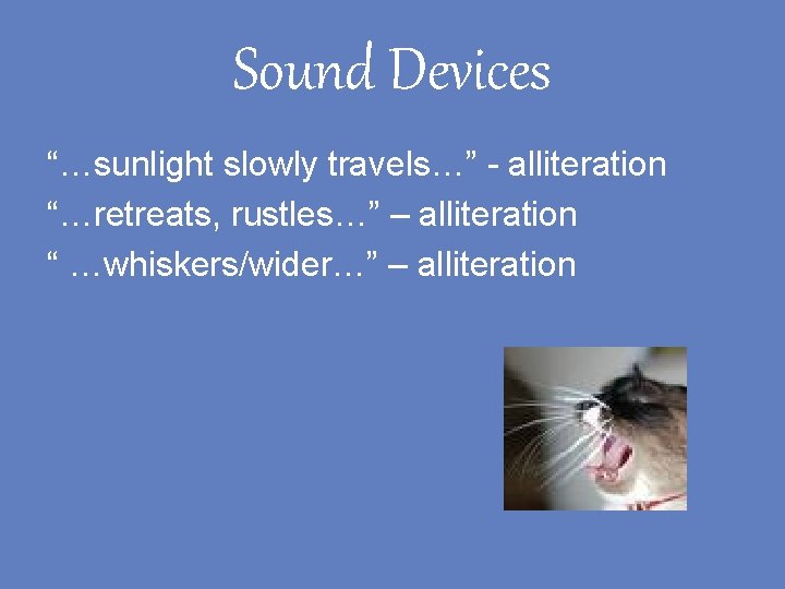 Sound Devices “…sunlight slowly travels…” - alliteration “…retreats, rustles…” – alliteration “ …whiskers/wider…” –