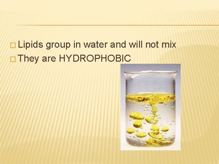 � Lipids group in water and will not mix � They are HYDROPHOBIC 