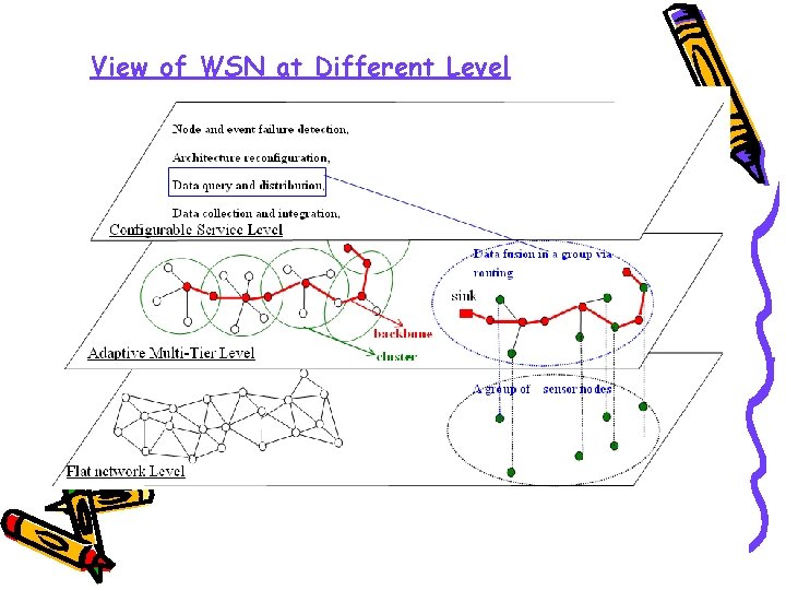 View of WSN at Different Level 
