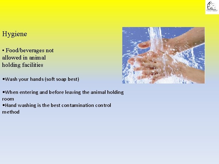 Hygiene • Food/beverages not allowed in animal holding facilities • Wash your hands (soft