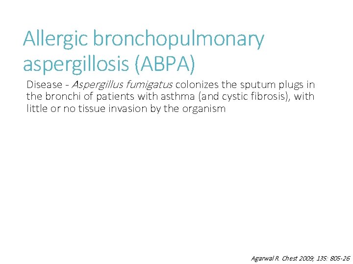 Allergic bronchopulmonary aspergillosis (ABPA) Disease - Aspergillus fumigatus colonizes the sputum plugs in the