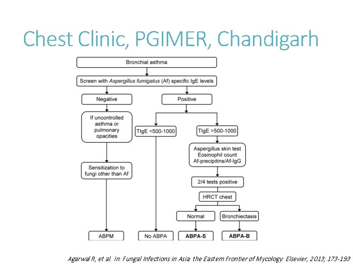 Chest Clinic, PGIMER, Chandigarh Agarwal R, et al. In: Fungal Infections in Asia: the