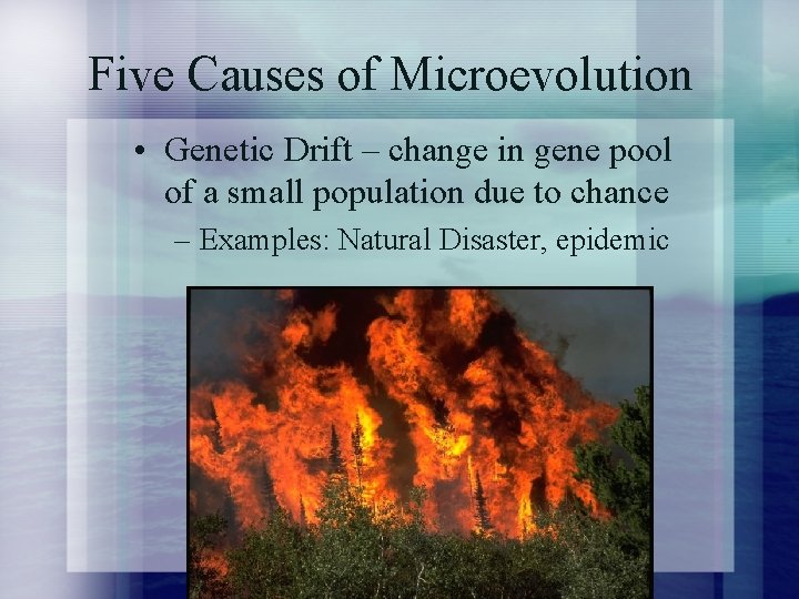 Five Causes of Microevolution • Genetic Drift – change in gene pool of a