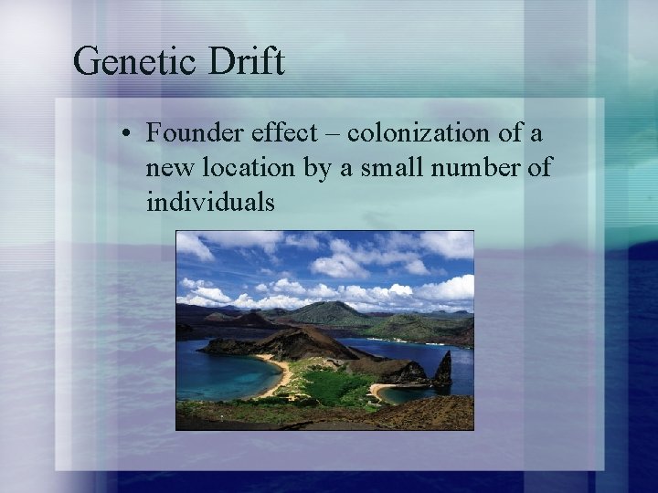 Genetic Drift • Founder effect – colonization of a new location by a small