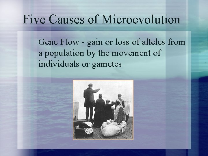 Five Causes of Microevolution Gene Flow - gain or loss of alleles from a