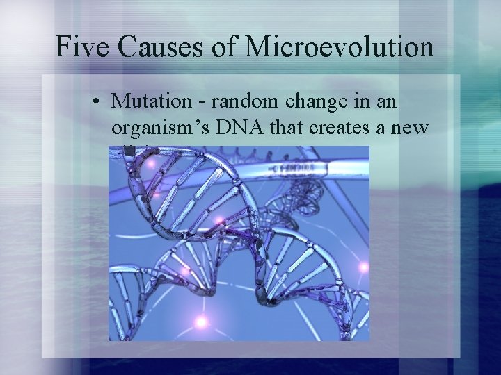 Five Causes of Microevolution • Mutation - random change in an organism’s DNA that