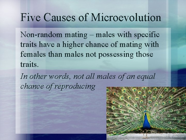 Five Causes of Microevolution Non-random mating – males with specific traits have a higher