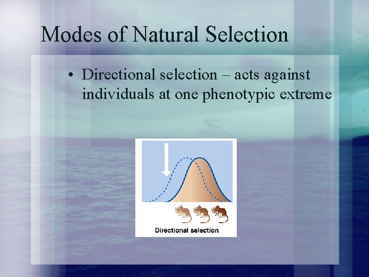 Modes of Natural Selection • Directional selection – acts against individuals at one phenotypic