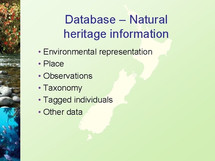 Database – Natural heritage information • Environmental representation • Place • Observations • Taxonomy