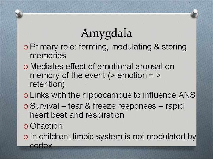 Amygdala O Primary role: forming, modulating & storing memories O Mediates effect of emotional