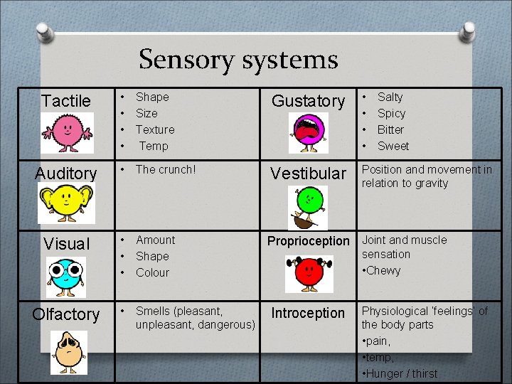 Sensory systems Tactile • • Shape Size Texture Temp Gustatory • • Auditory •