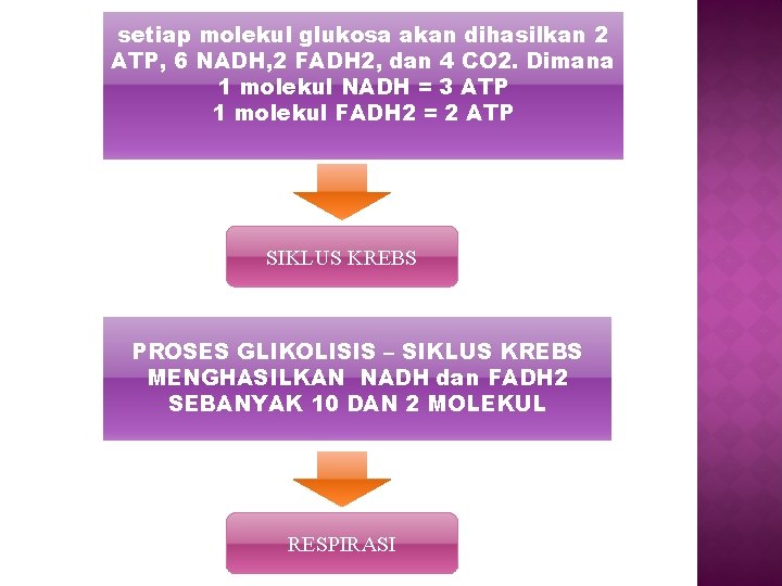 setiap molekul glukosa akan dihasilkan 2 ATP, 6 NADH, 2 FADH 2, dan 4