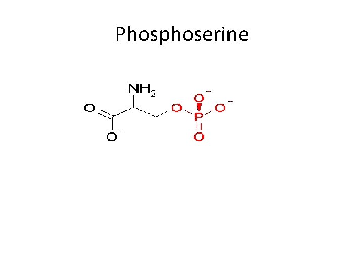 Phosphoserine 