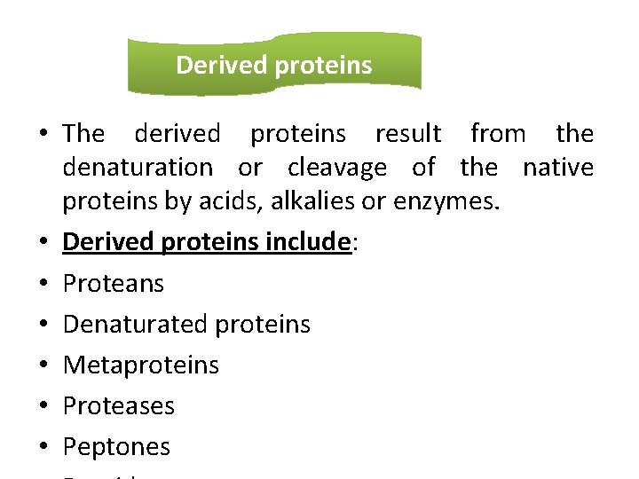 Derived proteins • The derived proteins result from the denaturation or cleavage of the