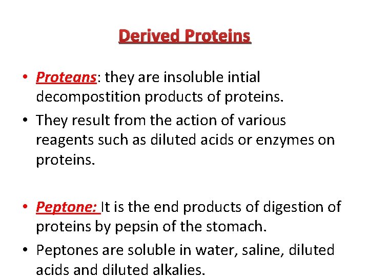 Derived Proteins • Proteans: they are insoluble intial decompostition products of proteins. • They