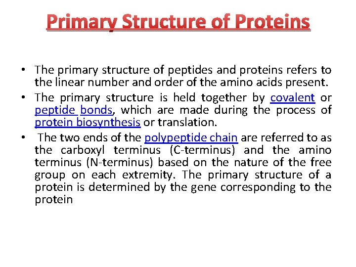Primary Structure of Proteins • The primary structure of peptides and proteins refers to