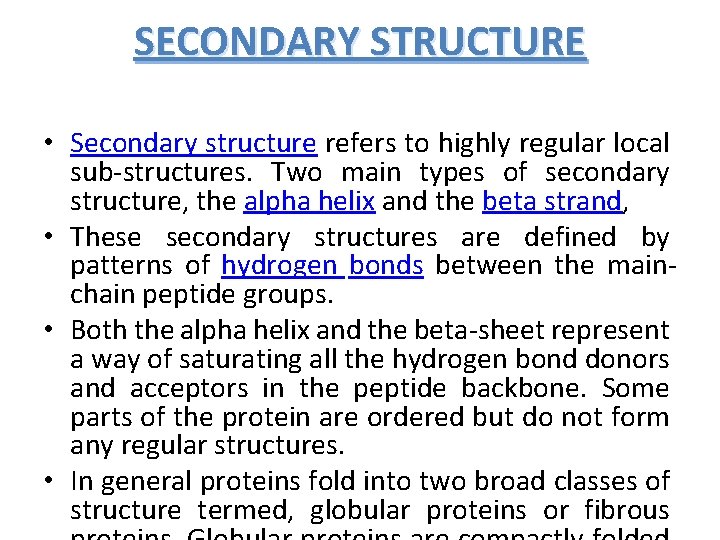 SECONDARY STRUCTURE • Secondary structure refers to highly regular local sub-structures. Two main types