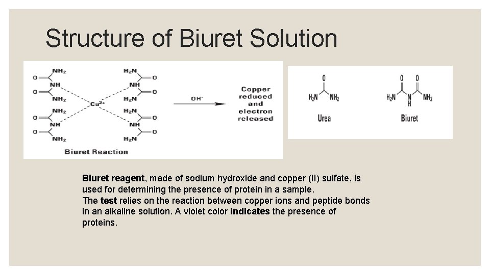 BIURET TEST For protein detection and quantitative analysis