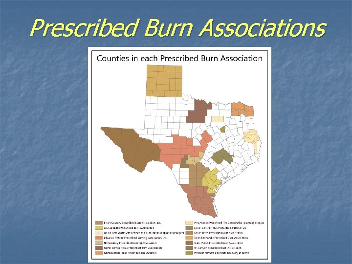 Prescribed Burn Associations in Texas 