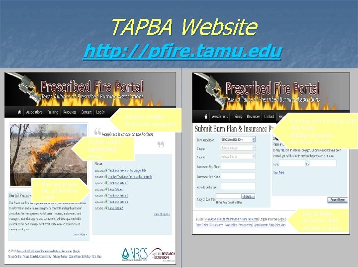 TAPBA Website http: //pfire. tamu. edu – Alliance Header – Horizontal navigation – Picture