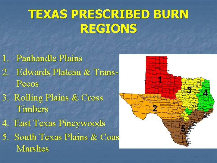 TEXAS PRESCRIBED BURN REGIONS 1. Panhandle Plains 2. Edwards Plateau & Trans. Pecos 3.