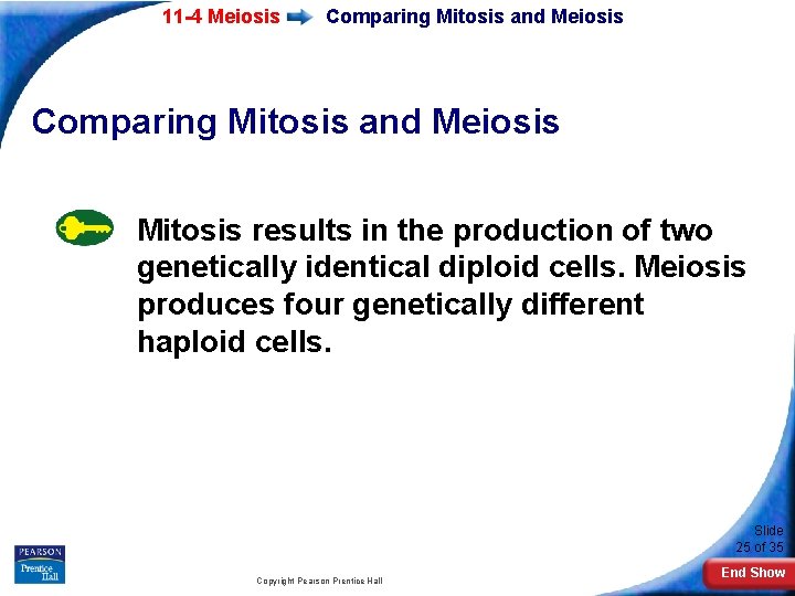 11 -4 Meiosis Comparing Mitosis and Meiosis Mitosis results in the production of two