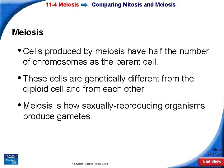 11 -4 Meiosis Comparing Mitosis and Meiosis • Cells produced by meiosis have half