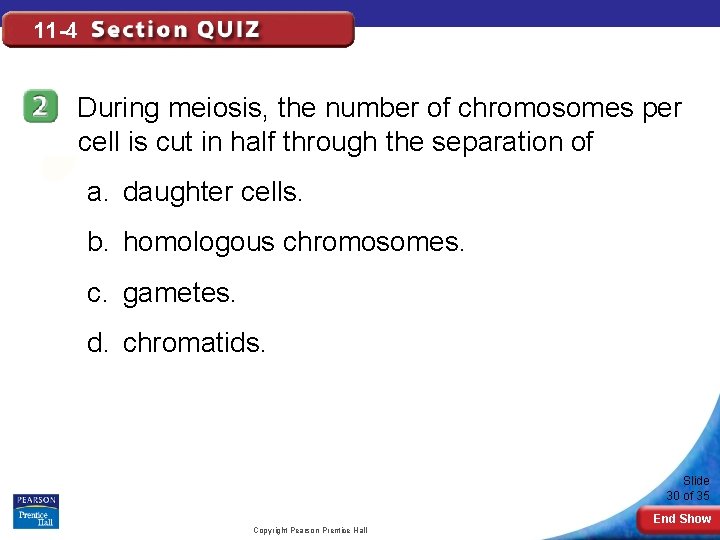 11 -4 During meiosis, the number of chromosomes per cell is cut in half