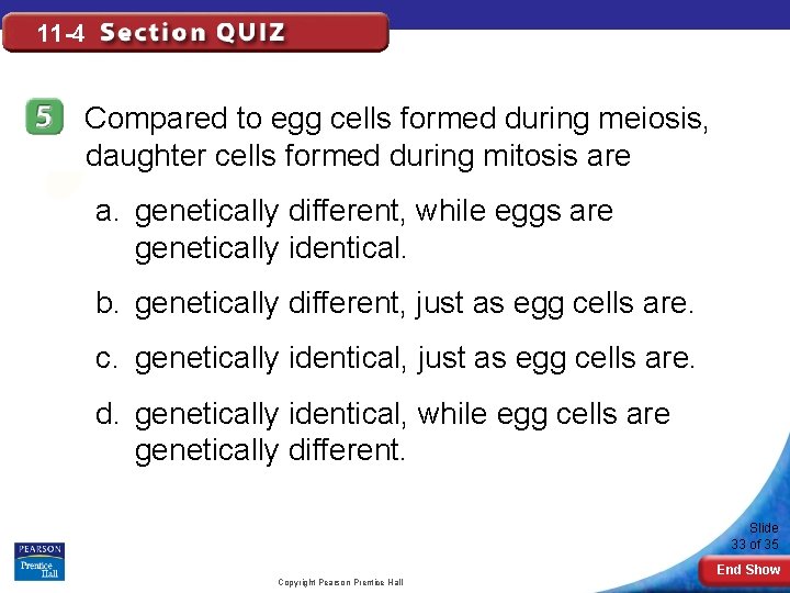 11 -4 Compared to egg cells formed during meiosis, daughter cells formed during mitosis