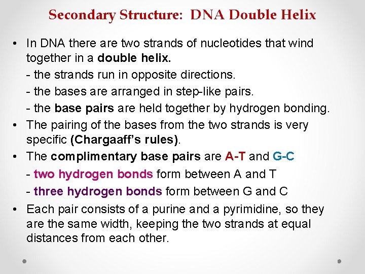 Secondary Structure: DNA Double Helix • In DNA there are two strands of nucleotides