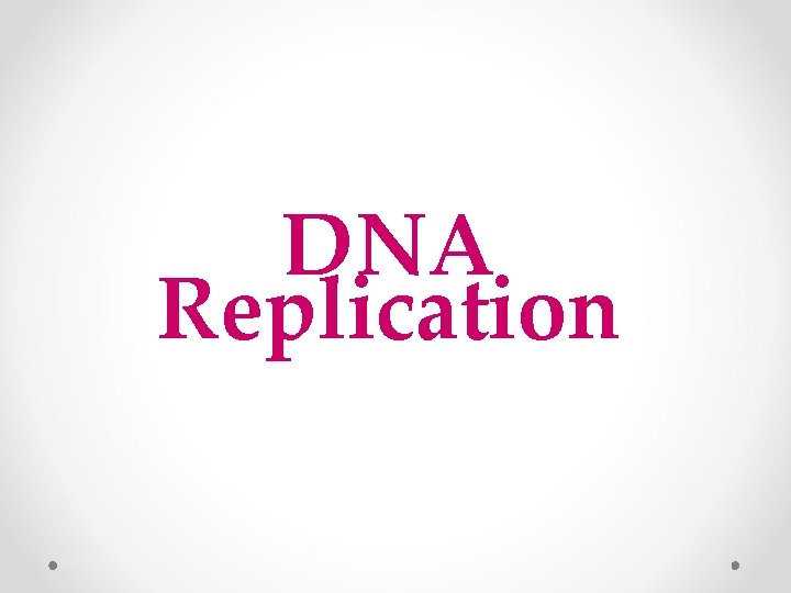 DNA Replication 