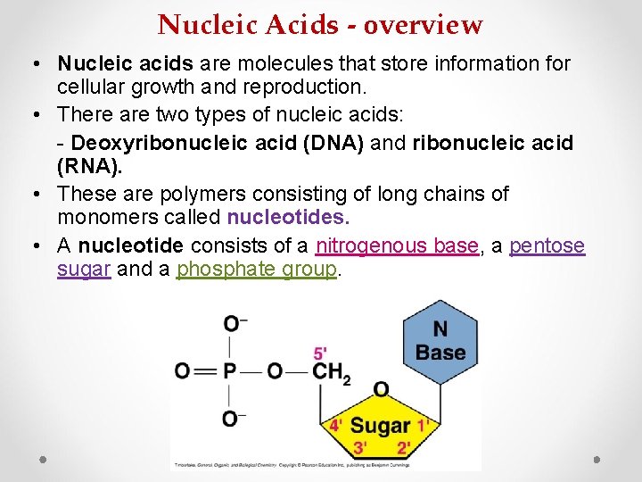 Nucleic Acids - overview • Nucleic acids are molecules that store information for cellular