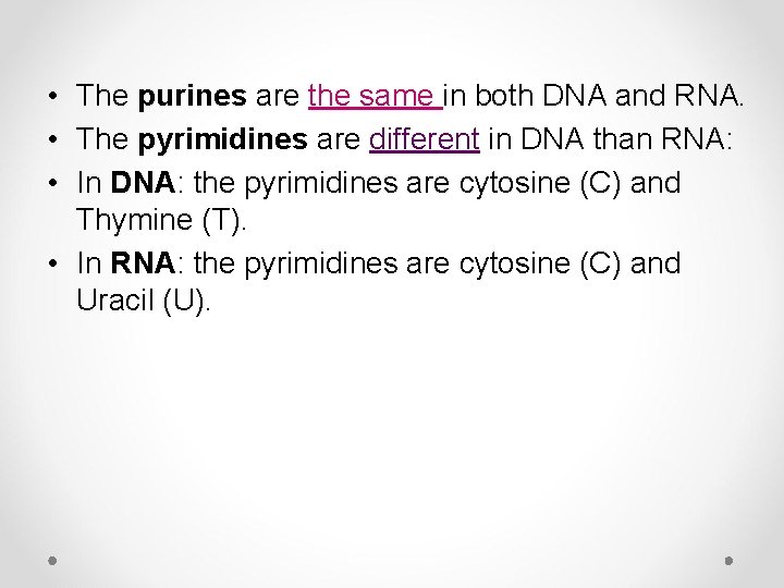  • The purines are the same in both DNA and RNA. • The