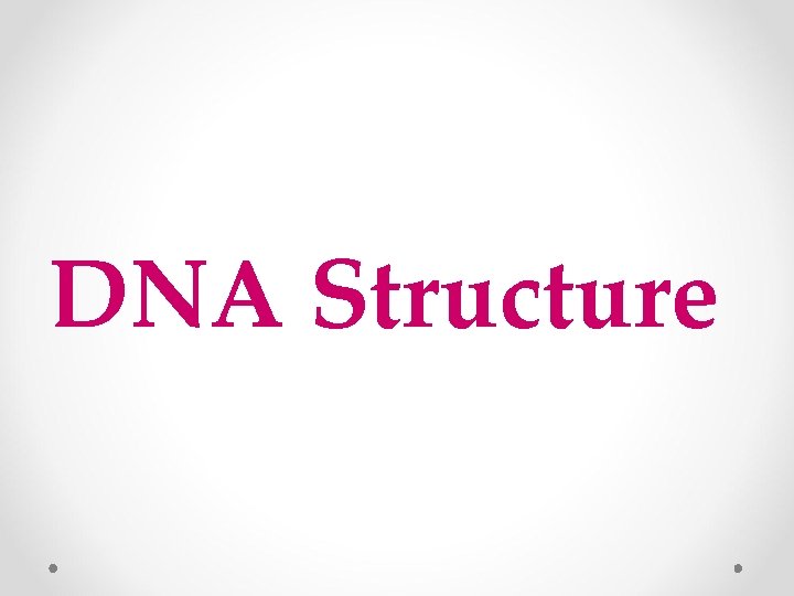 DNA Structure 