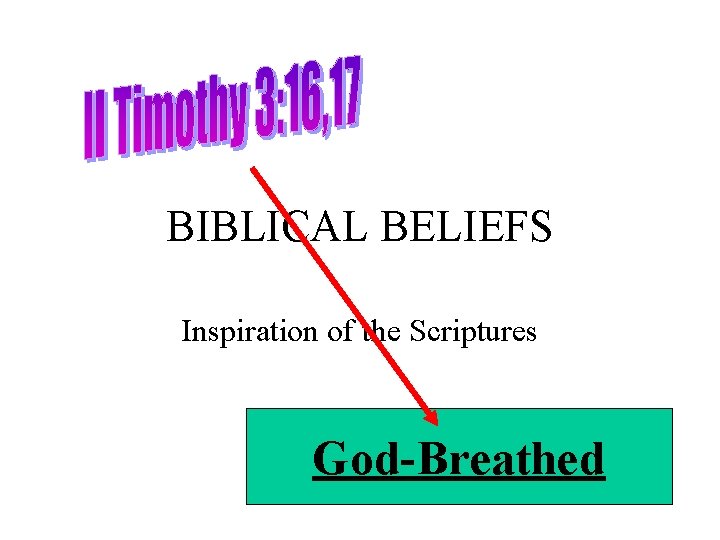BIBLICAL BELIEFS Inspiration of the Scriptures God-Breathed 