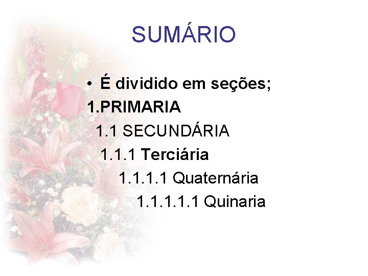 SUMÁRIO • É dividido em seções; 1. PRIMARIA 1. 1 SECUNDÁRIA 1. 1. 1