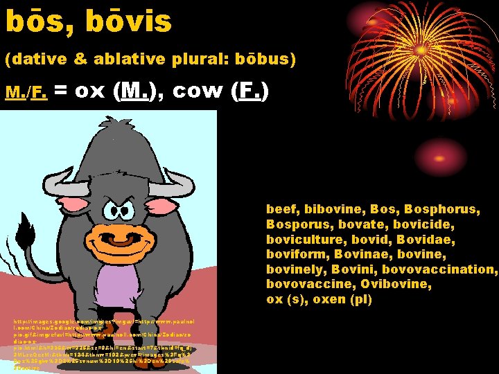 bōs, bōvis (dative & ablative plural: bōbus) M. /F. = ox (M. ), cow