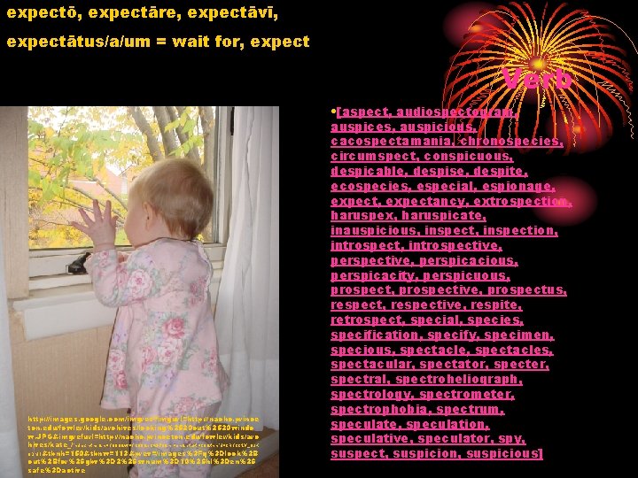 expectō, expectāre, expectāvī, expectātus/a/um = wait for, expect Verb http: //images. google. com/imgres? imgurl=http: