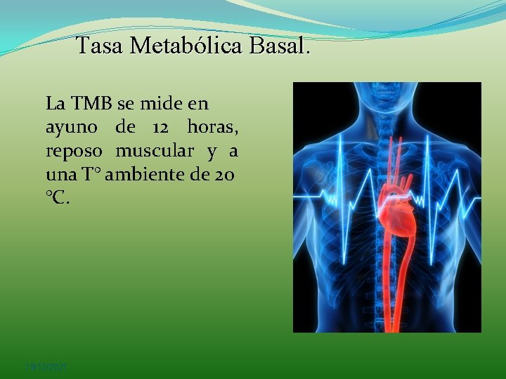 Tasa Metabólica Basal. La TMB se mide en ayuno de 12 horas, reposo muscular