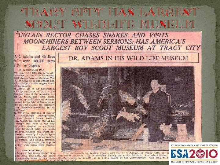 Tracy City has Largest Scout Wildlife museum 