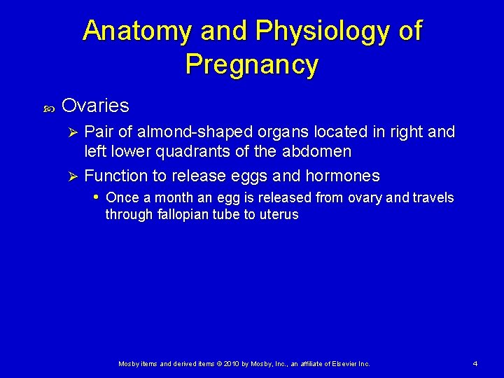 Anatomy and Physiology of Pregnancy Ovaries Pair of almond-shaped organs located in right and Anatomy and Physiology of Pregnancy Ovaries Pair of almond-shaped organs located in right and