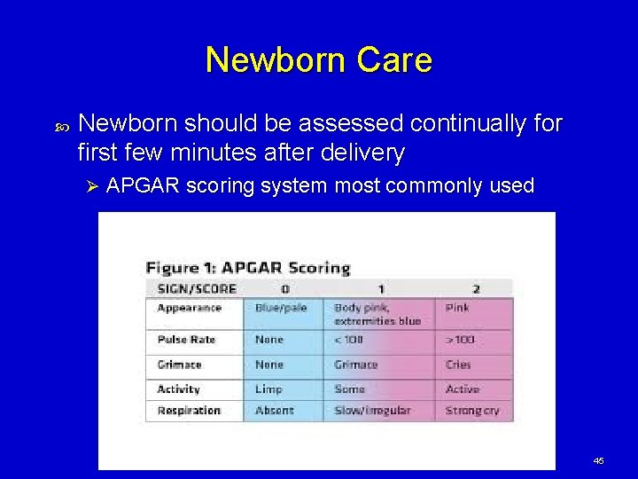 Newborn Care Newborn should be assessed continually for first few minutes after delivery Ø Newborn Care Newborn should be assessed continually for first few minutes after delivery Ø