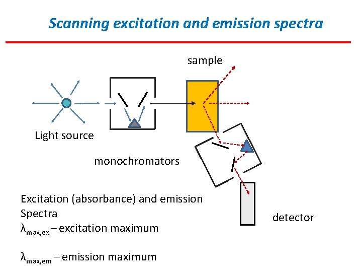 Scanning excitation and emission spectra sample Light source monochromators Excitation (absorbance) and emission Spectra