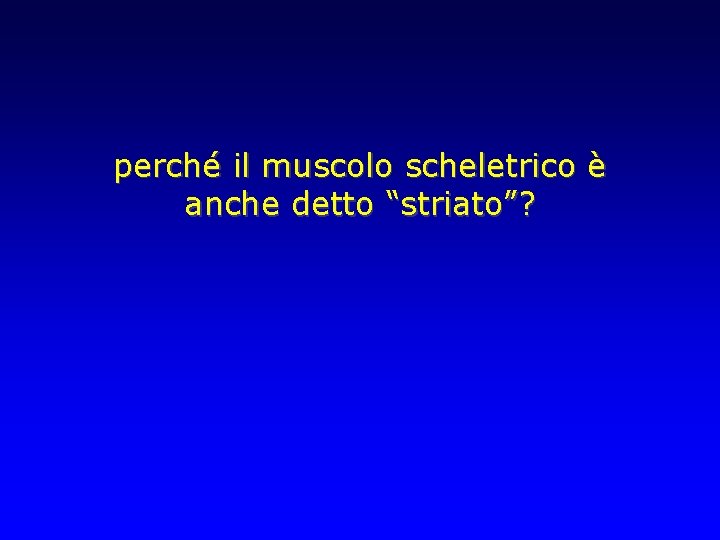 perché il muscolo scheletrico è anche detto “striato”? 