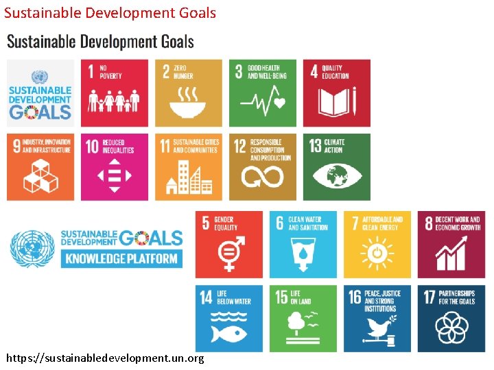 Sustainable Development Goals Public revenue https: //sustainabledevelopment. un. org 10 