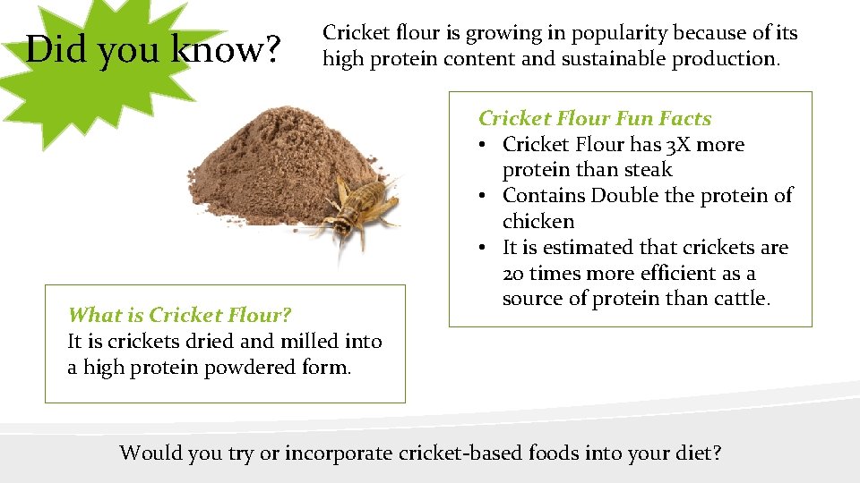 Did you know? Cricket flour is growing in popularity because of its high protein