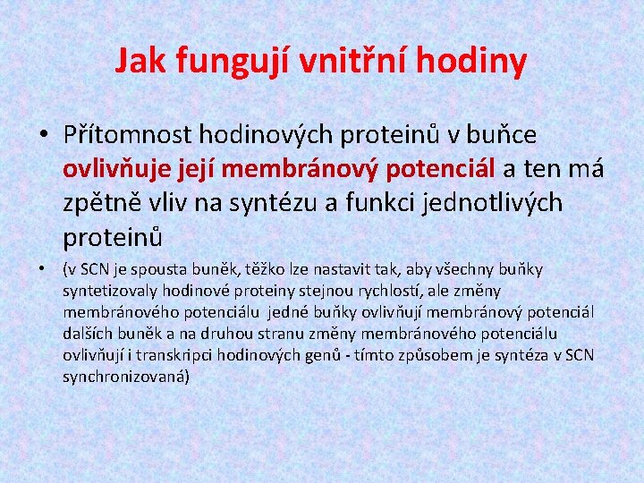 Jak fungují vnitřní hodiny • Přítomnost hodinových proteinů v buňce ovlivňuje její membránový potenciál