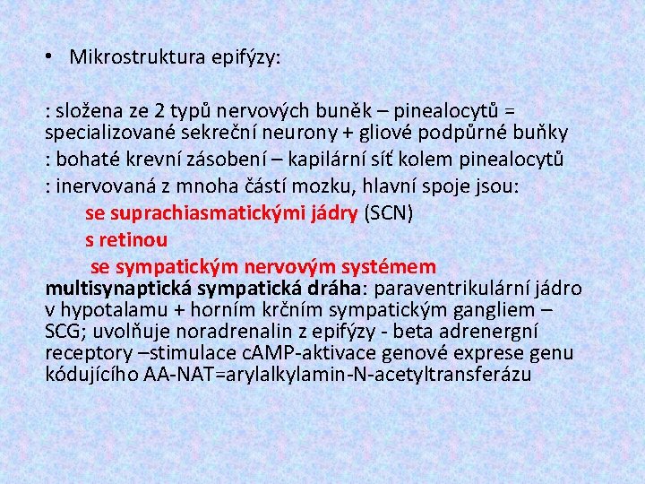  • Mikrostruktura epifýzy: : složena ze 2 typů nervových buněk – pinealocytů =