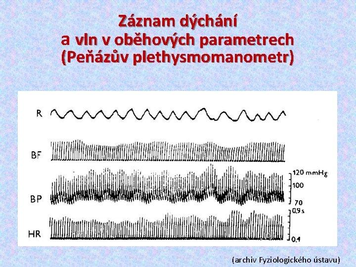 Záznam dýchání a vln v oběhových parametrech (Peňázův plethysmomanometr) (archiv Fyziologického ústavu) 