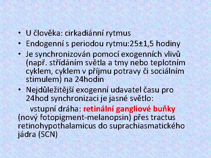  • U člověka: cirkadiánní rytmus • Endogenní s periodou rytmu: 25± 1, 5